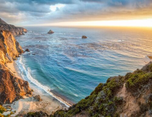 Overland Sonoma at Bodega Bay